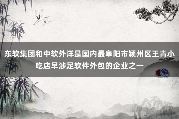 东软集团和中软外洋是国内最阜阳市颍州区王青小吃店早涉足软件外包的企业之一