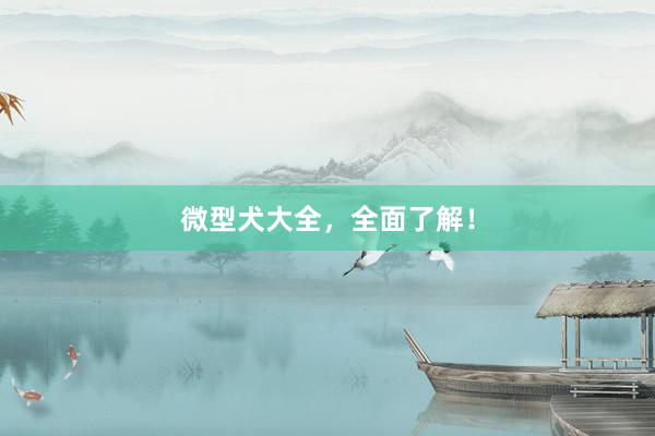 微型犬大全，全面了解！