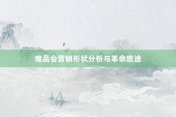 唯品会营销形状分析与革命旅途